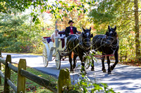 Murphy Wedding-846