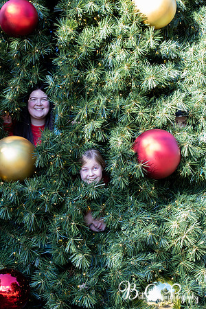 Paula Christmas 2023 LR-85