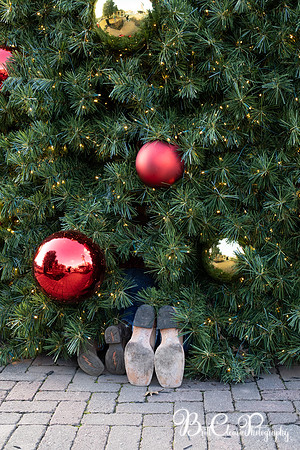 Paula Christmas 2023 LR-82