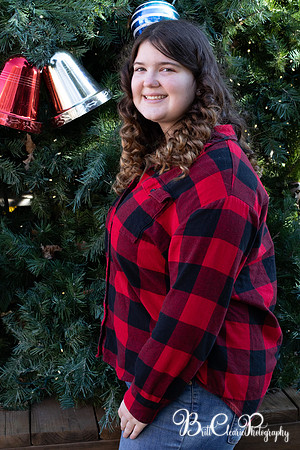Smith Christmas 2022 LR-132