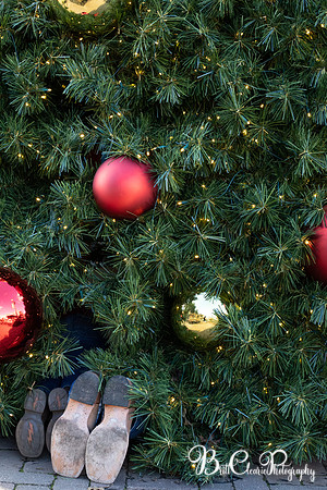 Paula Christmas 2023 LR-78