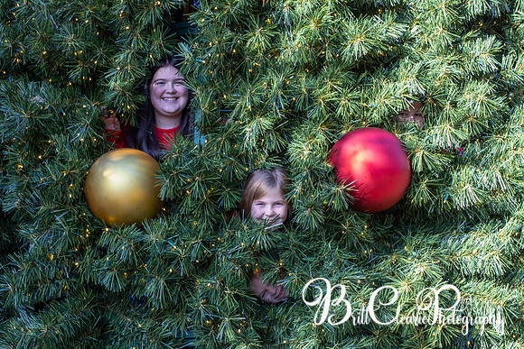 Paula Christmas 2023 LR-88