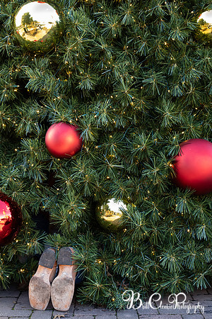 Paula Christmas 2023 LR-77