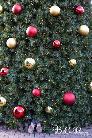 Paula Christmas 2023 LR-84