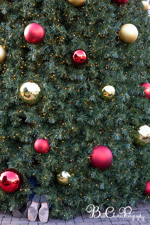 Paula Christmas 2023 LR-83