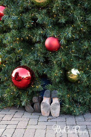 Paula Christmas 2023 LR-81