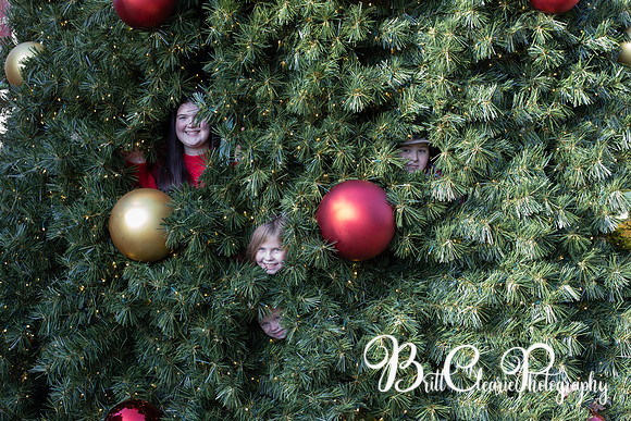 Paula Christmas 2023 LR-90
