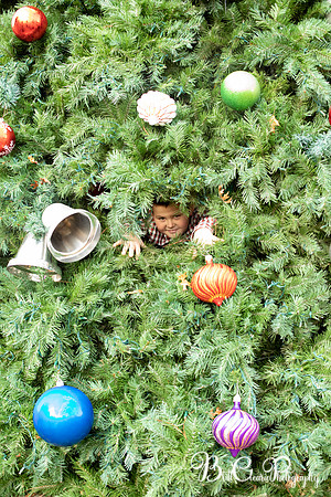 Christmas2021PaulaLowRes-140