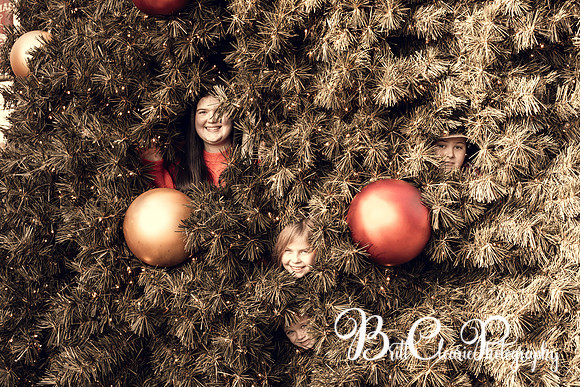 Paula Christmas 2023 LR-89