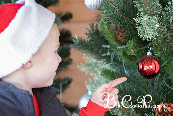 Smith Christmas 2022 LR-189