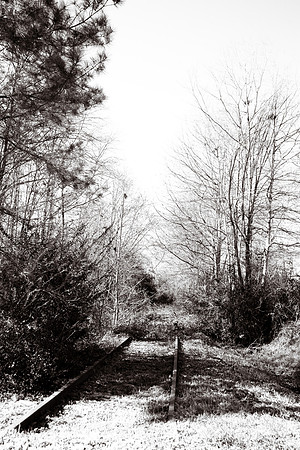 tracks-a